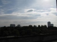 IMG_4100.JPG